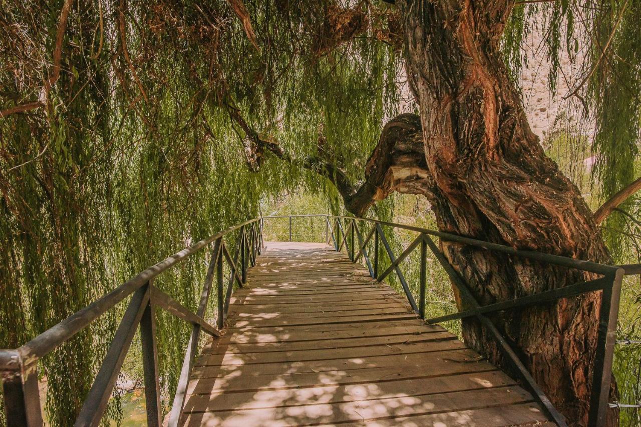 Horcón Hotel Vivelo Elqui Landscape מראה חיצוני תמונה